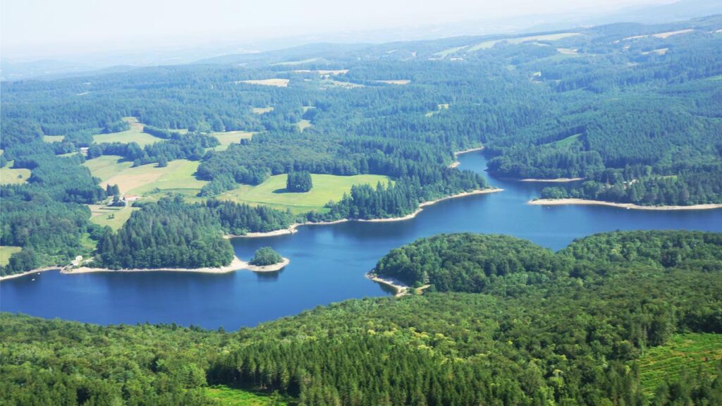 Installée dans le Tarn à Rouairoux, au cœur du parc naturel du Haut Languedoc, je travaille en association avec Dame Nature pour produire et transformer des plantes médicinales biologiques. Passionnée depuis toujours par le Vivant, cultiver la Terre est pour moi une évidence et un Honneur.