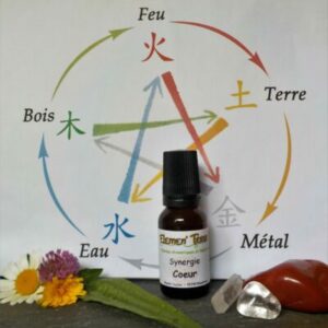 Synergie Coeur