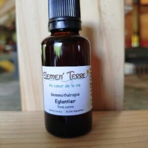 églantier - 15ml