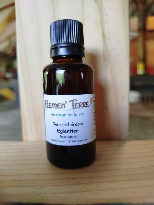 églantier - 15ml