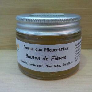 Bouton de Fièvre – varicelle
