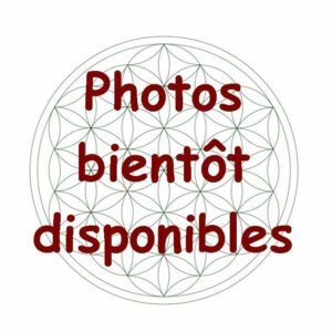 Huile respire - 100ml