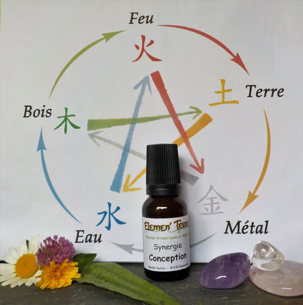 Synergie Conception