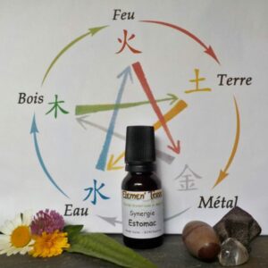 Synergie Estomac