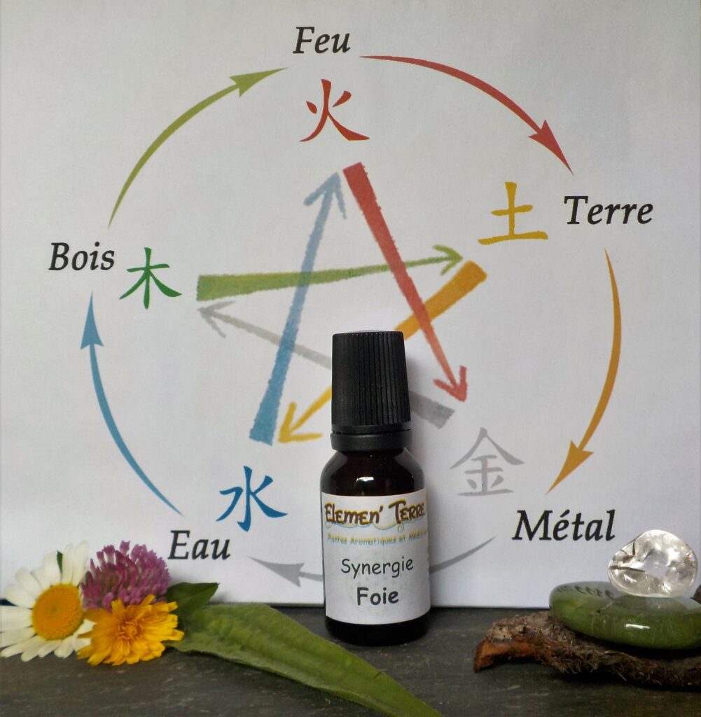 Synergie Foie