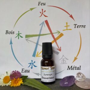 Synergie Gouverneur