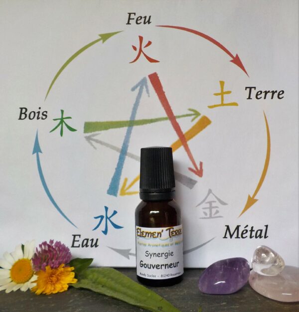 Synergie Gouverneur