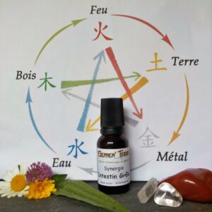 Synergie Intestin Grêle