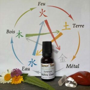 Synergie Maître Coeur