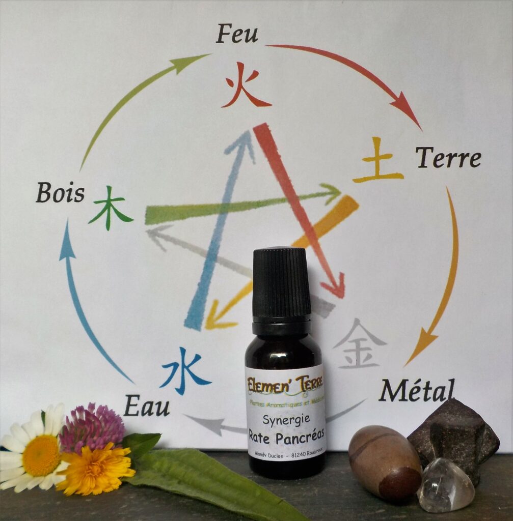Synergie Rate Pancréas