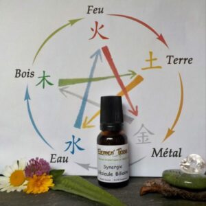 Synergie Vésicule Biliaire