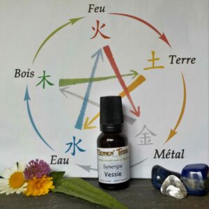 Synergie Vessie