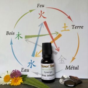 Synergie Gros Intestin