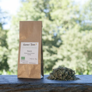 Tisane Romarin