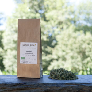 Tisane Sarriette
