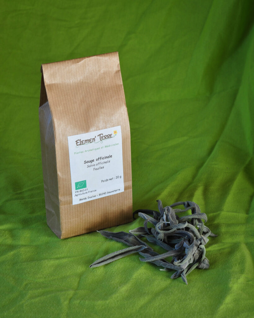 Tisane Sauge