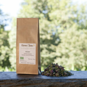Tisane Serpolet