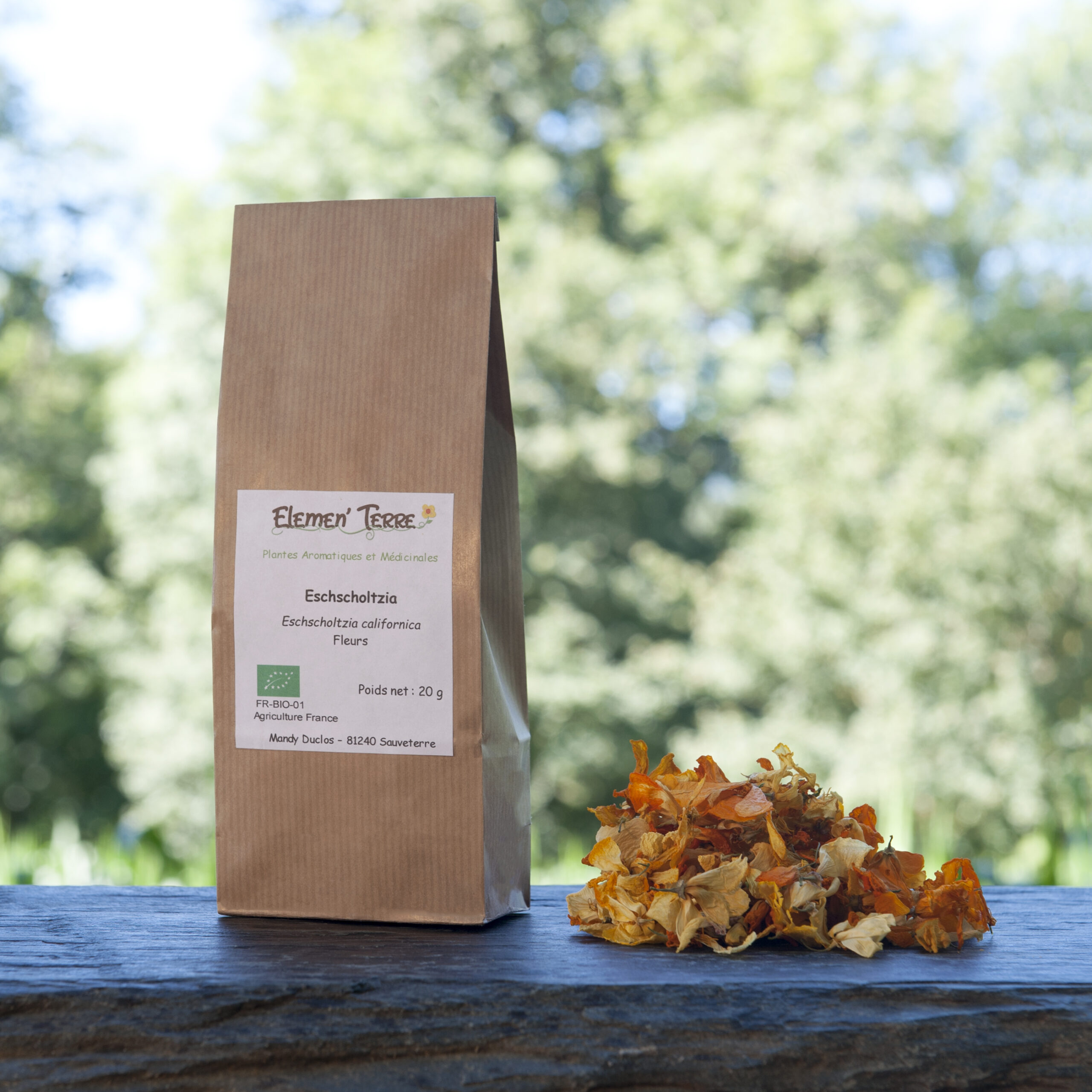 Tisane Eschscholtzi