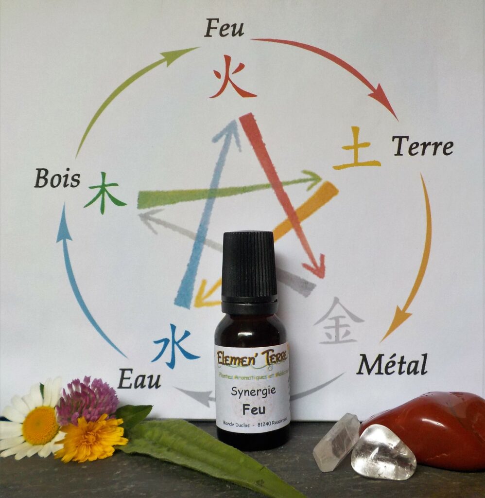Synergie Feu