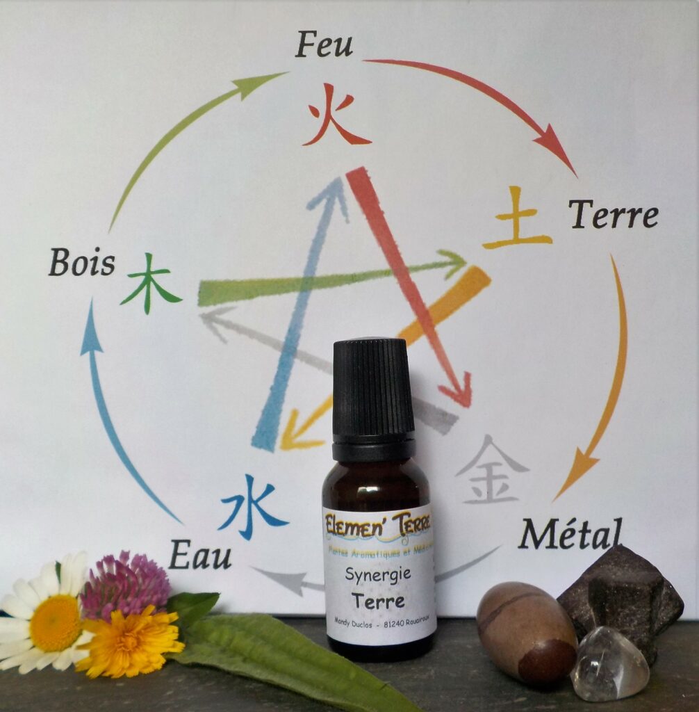 Synergie Terre