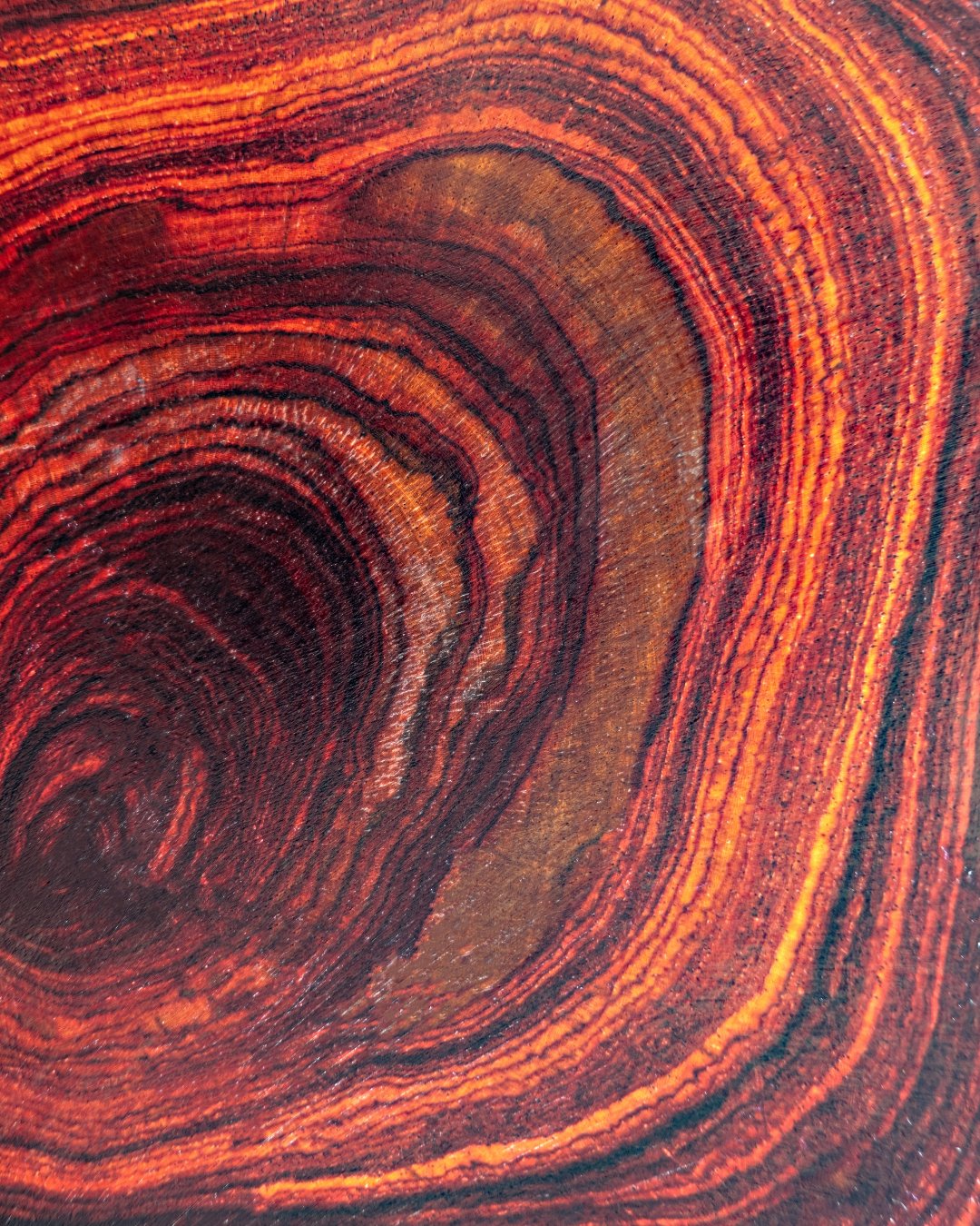 Bois de rose - 5ml – Image 2